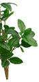 Kunstigt magnoliatræ H125 cm udendørs - DAY